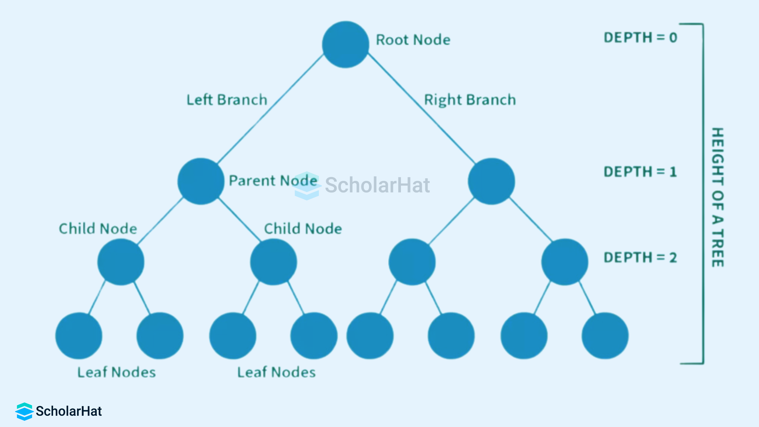 Binary Tree Terminologies